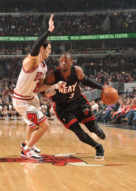 不仅展示出 不仅展示出