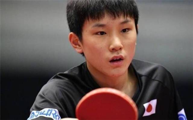 的解读可能 的解读可能