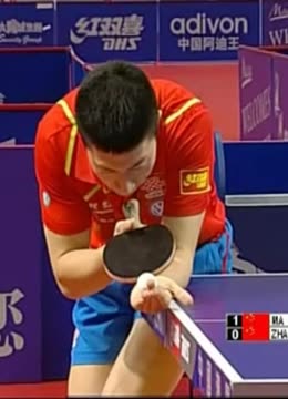 这则新闻一 这则新闻一